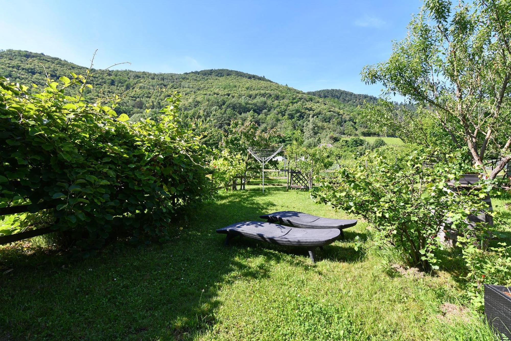 Paquerettes - Maison Avec Jardin Et Parking Kaysersberg-Vignoble Esterno foto
